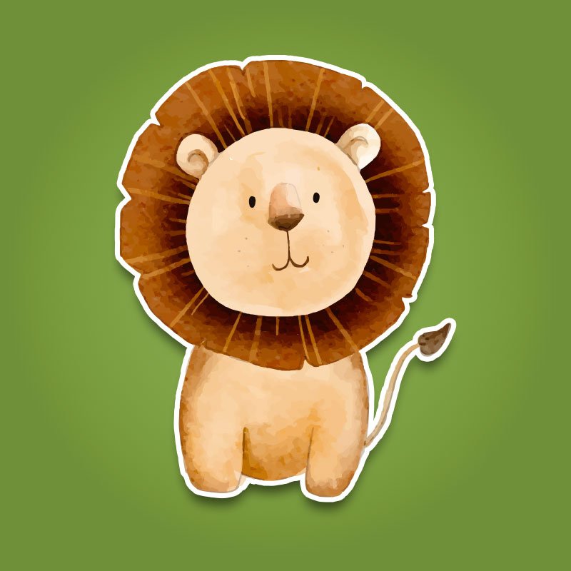 Safari